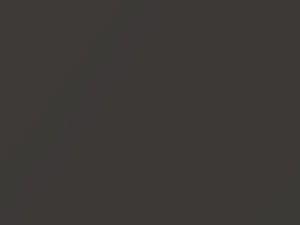 Mercedes-Benz Cl Class Designo Cashmere Metallic 2005 36 - Scratch Repair