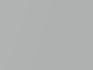 Isuzu Medium Duty Polar Silver Metallic 2009 845, N507, N507P901, N507P901-1