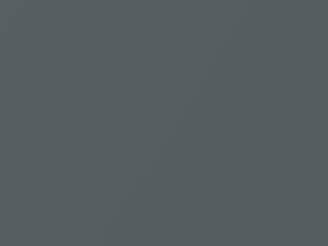 Fiat All Models Grigio Trend Metallic 1993 645