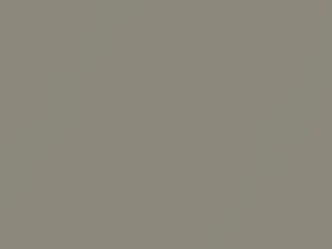 Mitsubishi All Models Fraser Beige Metallic 1996 AC11174