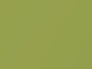 Suzuki Swift Mars Green Metallic/Yellow Green Mica 2004 49U