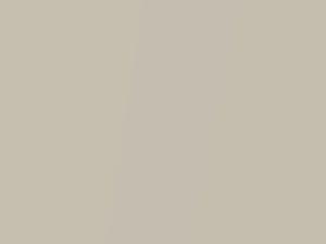 Honda All Models Platinum White Pearl 1998 NH609P - Scratch Repair