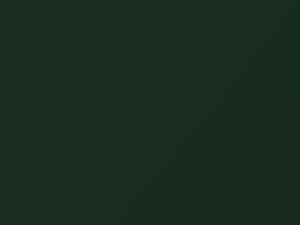 Hyundai H200 Forest Green Metallic 2000 FV - Scratch Repair