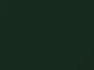 Honda All Models Palm Green Pearl 1998 G90P - Scratch Repair