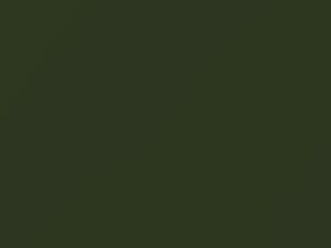 Toyota All Models Olive Green Mica 1998 6Q4