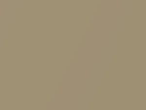 Hyundai All Models Light Beige Mica 2005 GU - Scratch Repair