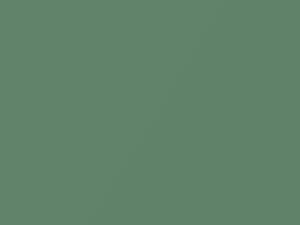 Hyundai All Models Greenbean Metallic 2002 UG