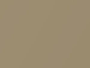 Kia Optima Gold Beige Metallic 2001 7Y