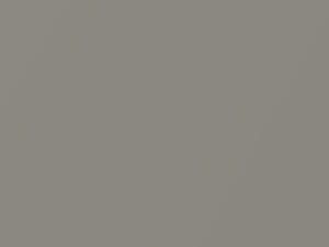 Toyota RAV4 Warm Gray Metallic 1997 UAB4, UCAB4