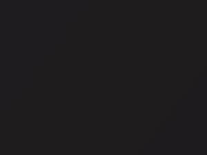 Audi All Models Espresso Brown Pearl/Espressobraun Metallic 2003 LZ8X, R7, R7R7, Z8X