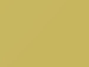 Triumph All Models Jasmine Yellow 1971 34
