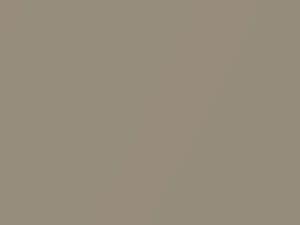 BMW 3 Series Sahara Beige Metallic 2000 330, 443