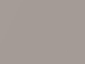 Isuzu All Models Blond Gray Metallic 2001 704, N109P901-0