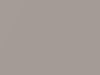 Isuzu All Models Blond Gray Metallic 2001 704, N109P901-0