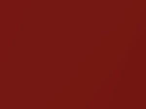 Kia Rio Cinnamon Metallic 2002 R4