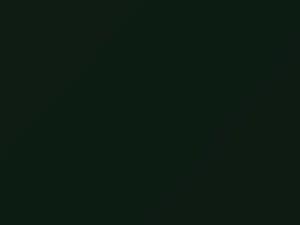 Austin Rover All Models British Racing Grn 1967 GN29 - Scratch Repair