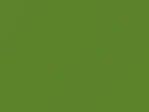 Volkswagen All Models Lime Green Metallic 1976 L96N