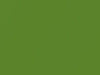 Volkswagen All Models Lime Green Metallic 1976 L96N