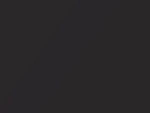 Chevrolet Equinox Yosemite Metallic 2008 44 - Scratch Repair