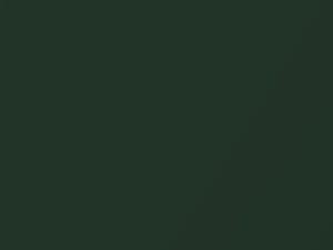 Hyundai Santa Fe Palm Green Mica 2002 QR - Scratch Repair