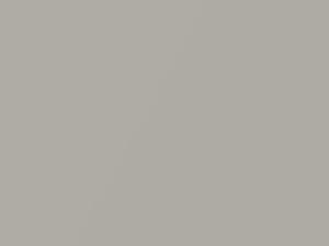Toyota All Models Silver Graphite Metallic/Silver Strata Metallic 2001 1C5