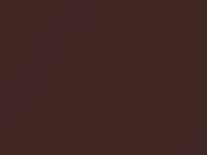 Honda All Models Earth Brown Metallic 2005 YR567M