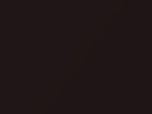 Nissan Cube Bitter Chocolate Pearl 2007 L50 - Scratch Repair