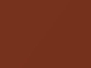 Dodge All Models Dark Burnt Orange Metallic 1970 AY2FK5, K5
