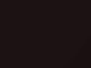 Nissan All Models Dark Red Pearl 2010 NAG - Scratch Repair