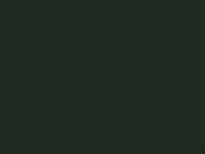 Chevrolet Corvette Goodwood Green Metallic 1967 983 - Scratch Repair