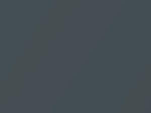 Kia All Models Olive Gray Pearl 2005 7V