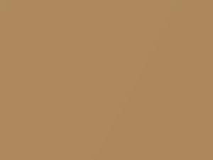 Porsche All Models Casablanca Beige Metallic 1980 463, L463
