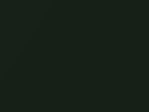 Ford F150 Woodland Green Metallic 2000 6873 - Scratch Repair