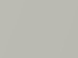 Kia Rio Light Silver Metallic 2002 C1