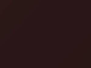 Suzuki All Models Maroon Brown Pearl 2015 ZEL