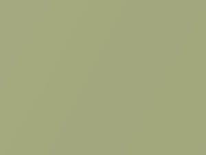 Honda All Models Silky Leaf Metallic 2003 GY24M - Scratch Repair