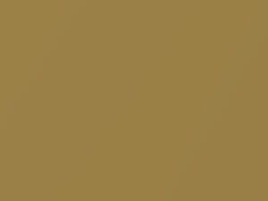Hyundai All Models Mari Gold Metallic/Marigold Mica 2000 HR