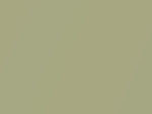 Nissan All Models Light Olive Green Metallic 1998 JR1