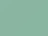 Toyota All Models Shade Green 1998 6Q6