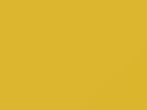 Mitsubishi All Models Dark Yellow 2000 AC11304, Y04
