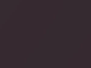 Ford Fiesta Samakand Mica 1996 2810, 558, Q, Q6, Q7, S, S6, S7, XSC2810 - Scratch Repair