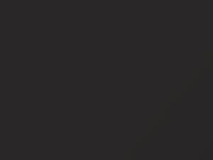 Honda Element Ex Charcoal 2004 CRL - Scratch Repair