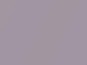 Nissan All Models Purplish Silver Metallic 2010 KAS - Scratch Repair