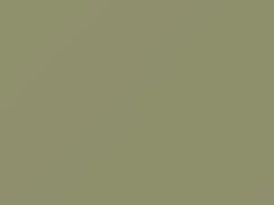 Ford All Models Sea Foam Green 1968 M2040A, O