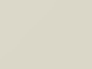 Ford Ecosport Diamantweiss 2019 206, 4, 691A, B1, B2, B3, B4, B5, B6, B7, B8, B9, DW, N8, VB4, W8, ZAFA - Scratch Repair