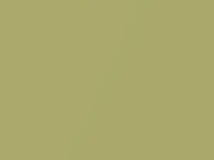 Dodge All Models Optic Green Pearl 2010 PFG - Scratch Repair