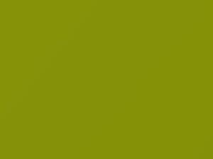 Volkswagen All Models Ravenna Green 1973 L65K