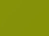 Volkswagen All Models Ravenna Green 1973 L65K