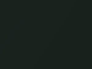 Chevrolet Corvette Glen Green Metallic 1965 3366, GG, WA3366 - Scratch Repair