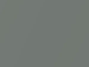 Smart All Models Glance Gray Metallic 2004 C59L, EAI